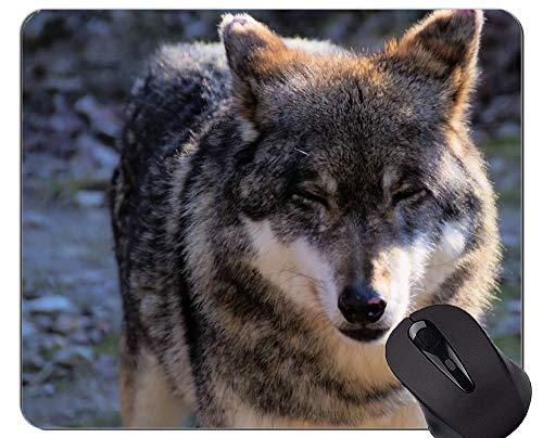 Gaming Mouse Pad Custom, Wolf Nature Animal Hunter Furry Mouse Pads